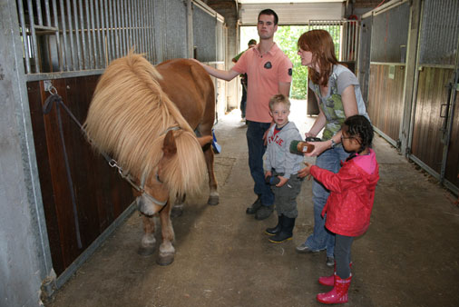 Paardenpicknick